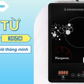 Bếp điện từ Kangaroo KG15IC1